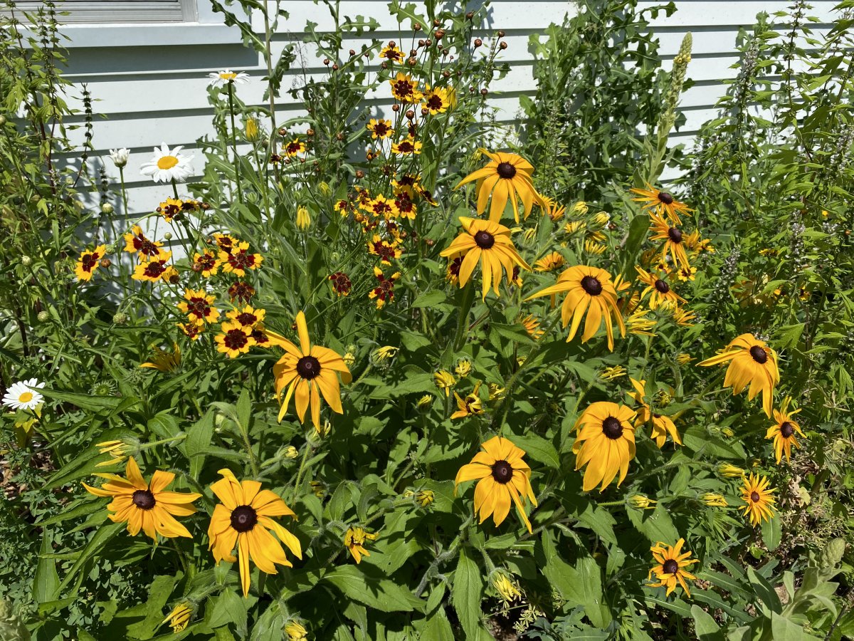 The Fair's Almost Here!